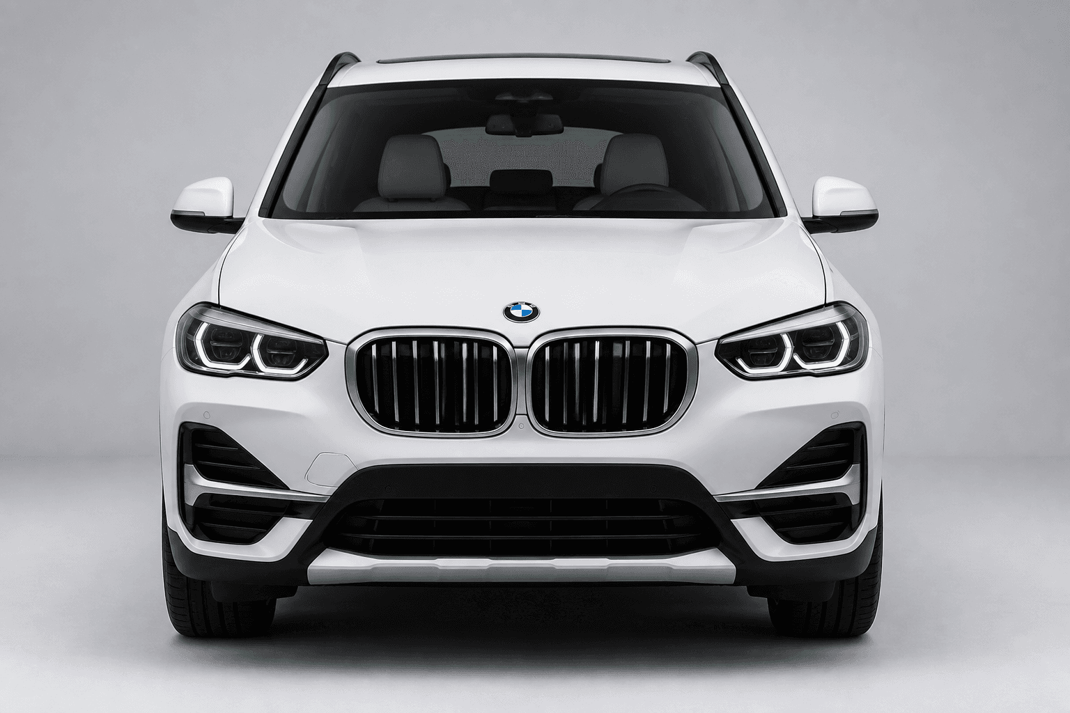 BMW X1 (sDrive18i) detail 1