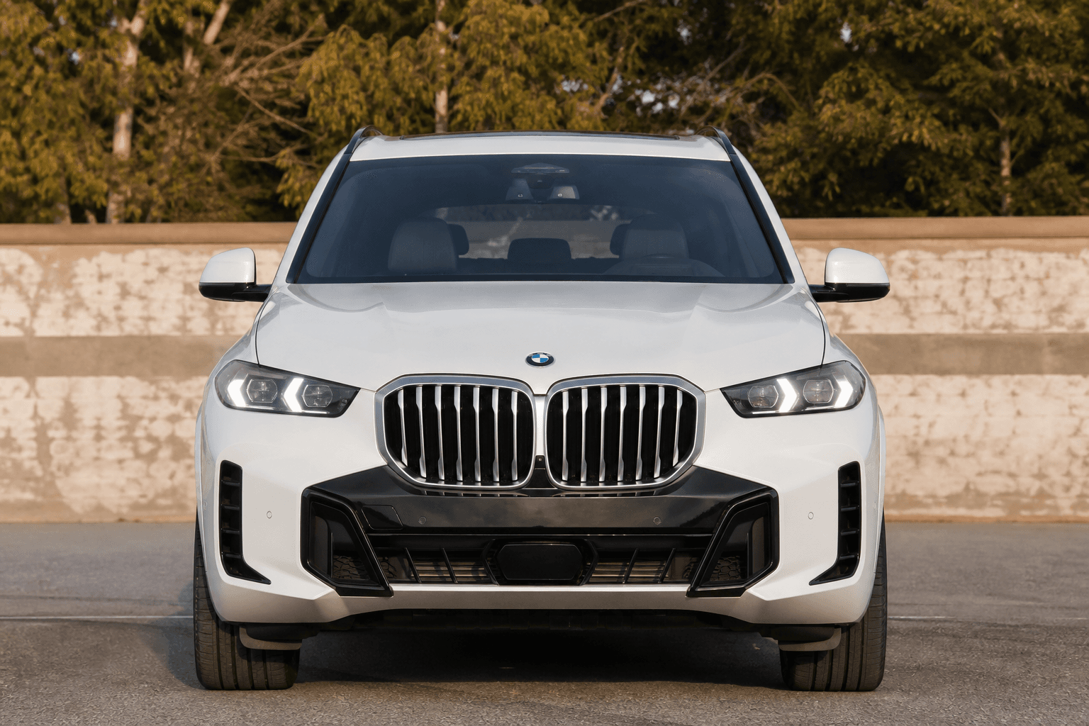 BMW X5 (xDrive40i) detail 1