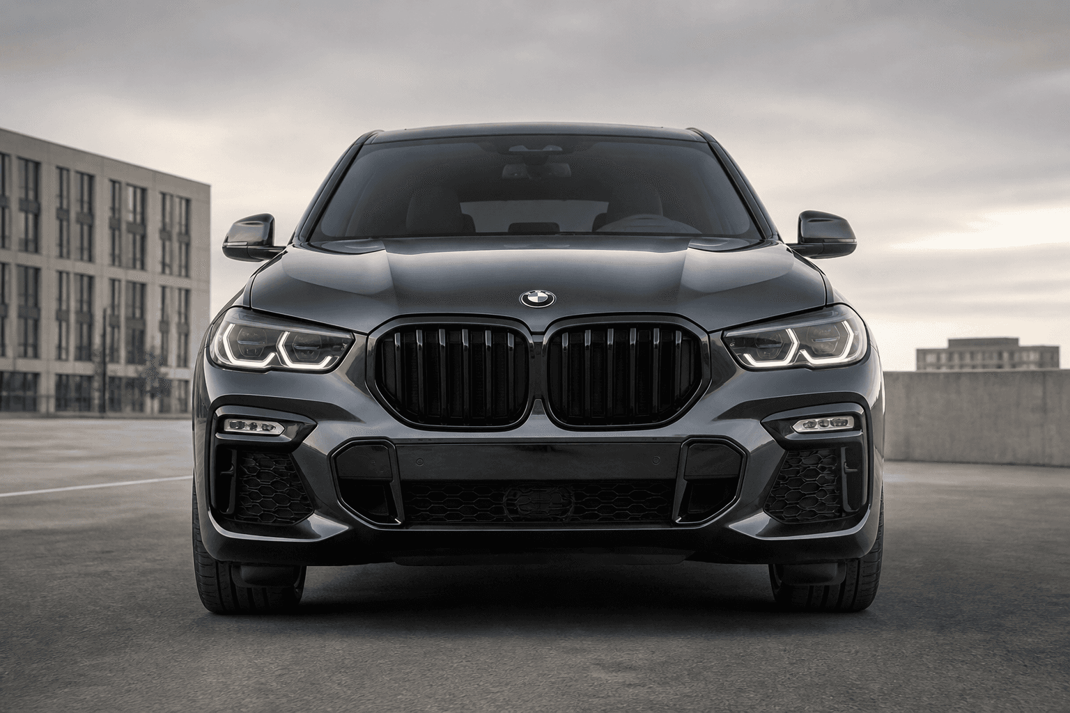 BMW X6 (xDrive40i) detail 1